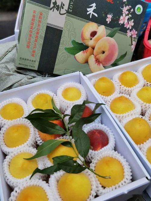 浮云娱乐吃瓜,揭秘娱乐圈最新吃瓜事件